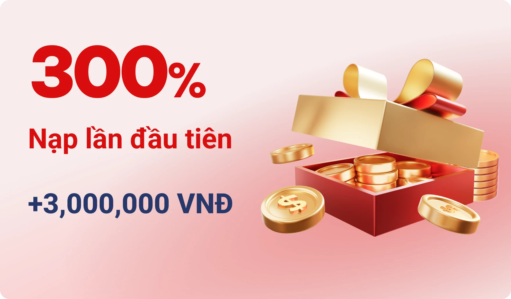promo 300